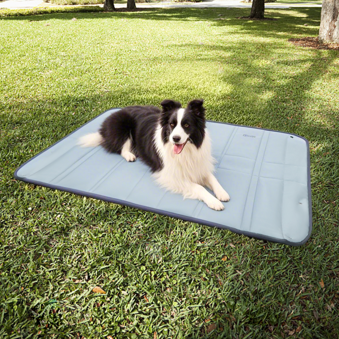 2-In-1 Convertible Tote Bag & Outdoor Dog Mat For Outdoor Trips