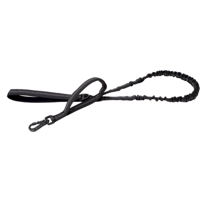 Double-Handle Bungee Leash