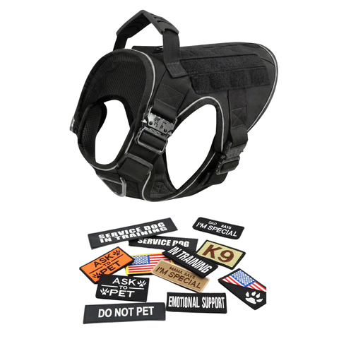 Harness + 12 Patch Bundle