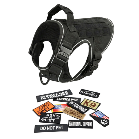 Harness + 12 Patch Bundle