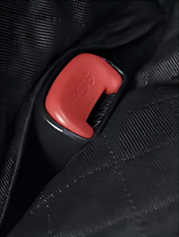 Seatbelt Openings & Anchors