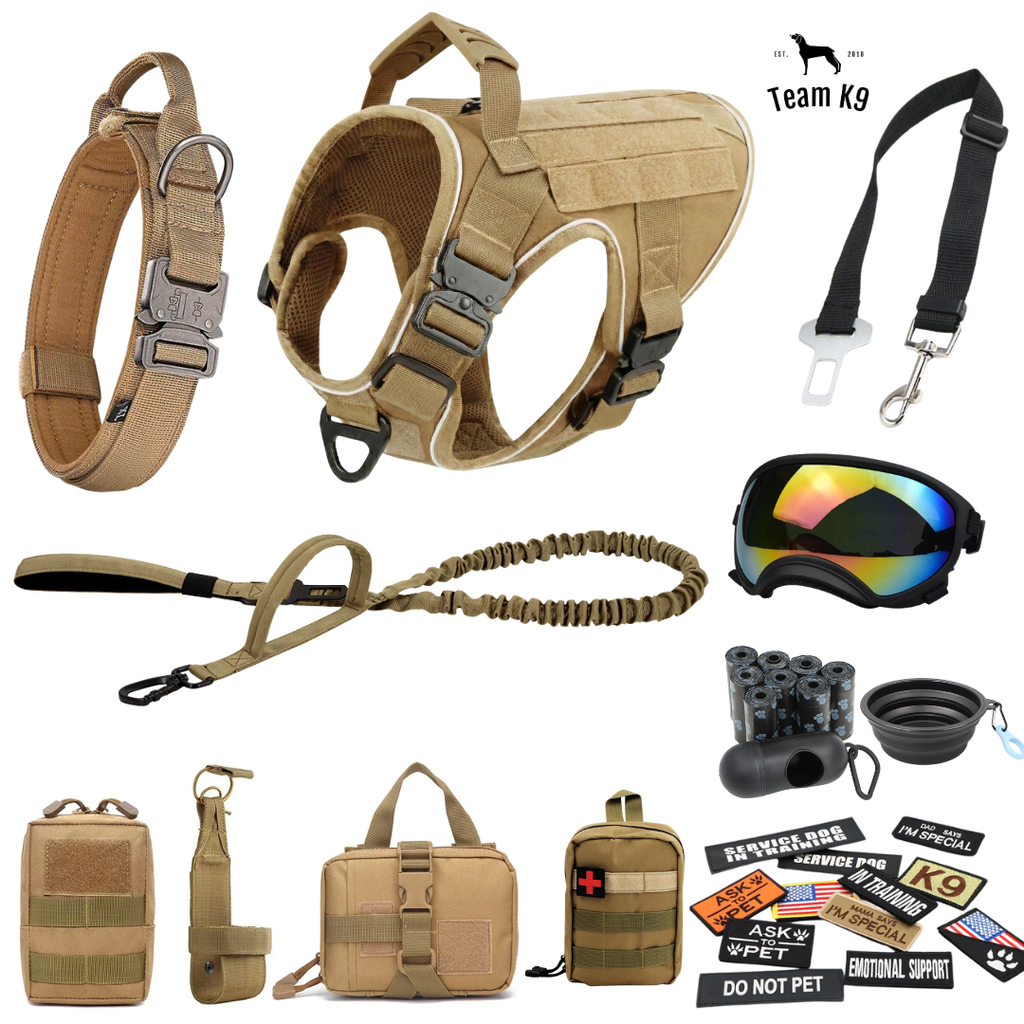 10-In-1 Tactical K9 Harness System - Full Set Dog Harness Bundle (Includes: Tactical No-Pull Dog Harness + Bungee Leash + Collar + MOLLE Pouches + First Aid Kit + 12 Hook & Loop Patches + Dog Goggles + Safety Belt + Travel Water Bowl + Dog Waste Bags)