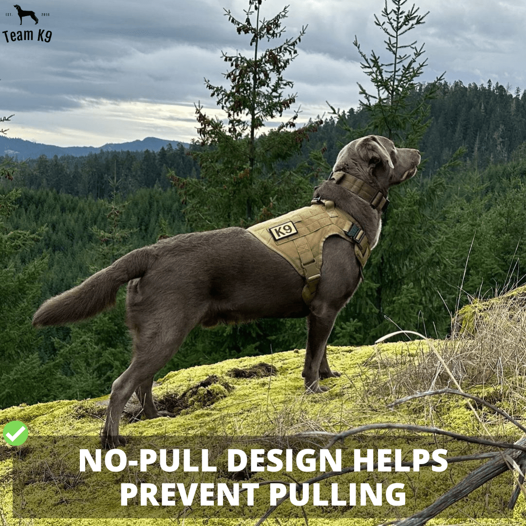 Classic Heavy-Duty Tactical No-Pull Team K9™ Dog Harness With Front & Back D-Rings, Quick-Release Metal-Buckles, Hook & Loop