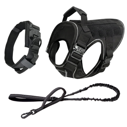Harness + Bungee Leash + Tactical Collar