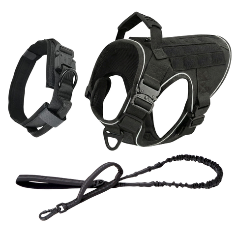 Harness + Bungee Leash + Tactical Collar