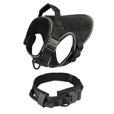 Harness + Tactical Collar