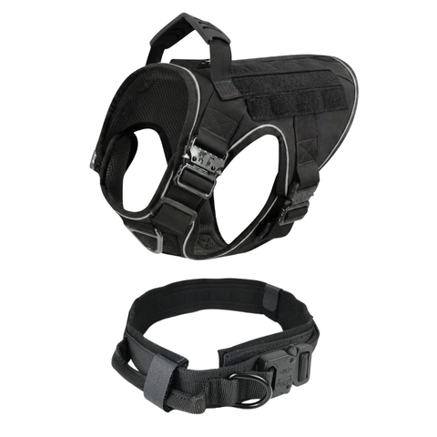 Harness + Tactical Collar