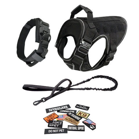 Harness + Bungee Leash + Tactical Collar + 12 Patch Bundle