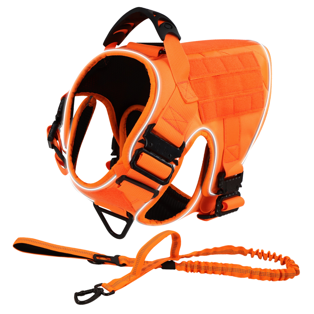 NEW Reflective Blaze Orange Team K9 Tactical No-Pull Dog Harness with 4 Metal Buckles, Reinforced Front V-Ring, & Reflective Strips (Available Now!)