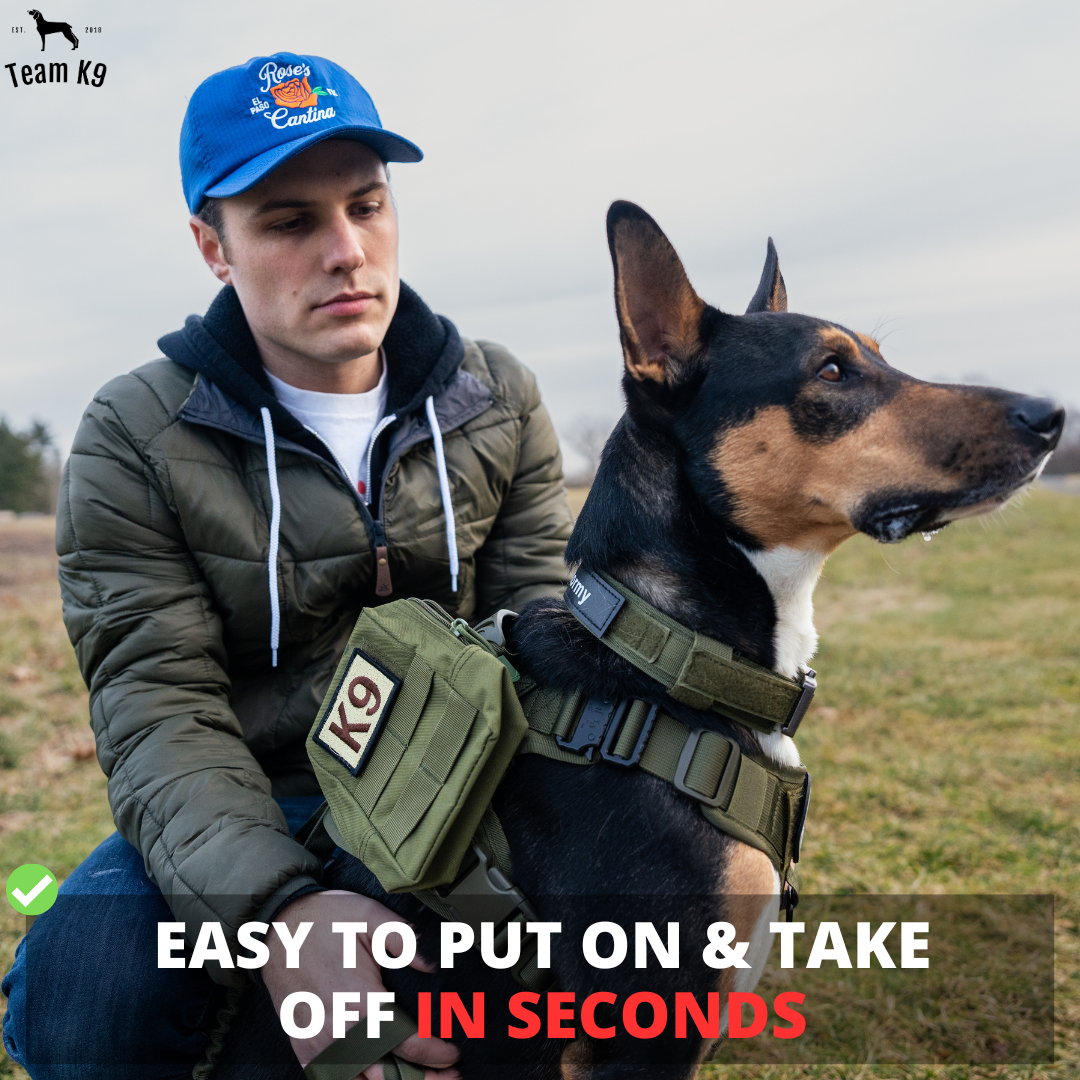 Top dog harness 2018 best sale