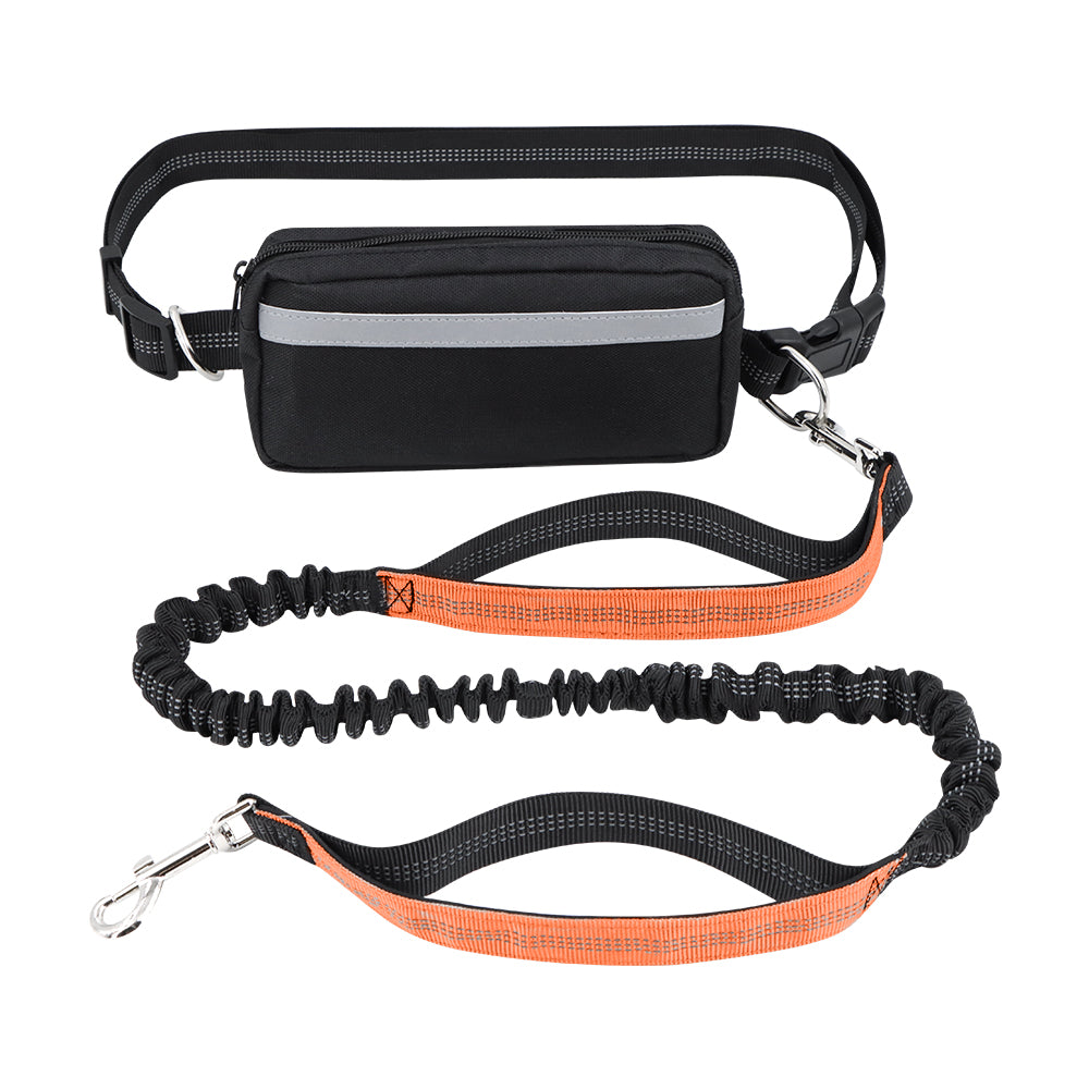 K9 fashion leather leash