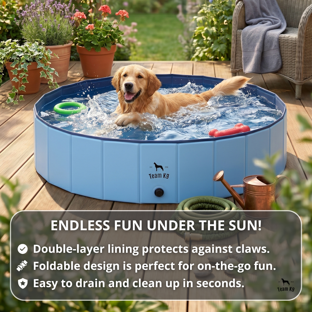 NEW Pop-Up Foldable Outdoor Dog Bath & Swimming Pool With Side Drain (Aqua Blue)
