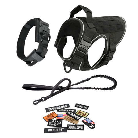 Harness + Bungee Leash + Tactical Collar + 12 Patch Bundle