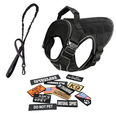 Harness + Bungee Leash + 12 Patch Bundle