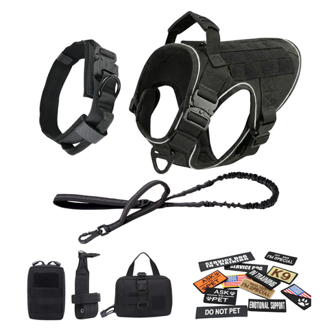 Harness + Bungee Leash + Tactical Collar + 12 Patch Bundle + MOLLE Pouches