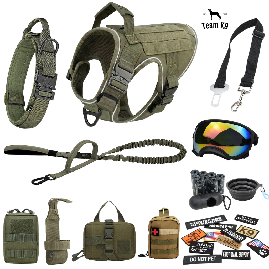 10-In-1 Tactical K9 Harness System - Full Set Dog Harness Bundle (Includes: Tactical No-Pull Dog Harness + Bungee Leash + Collar + MOLLE Pouches + First Aid Kit + 12 Hook & Loop Patches + Dog Goggles + Safety Belt + Travel Water Bowl + Dog Waste Bags)