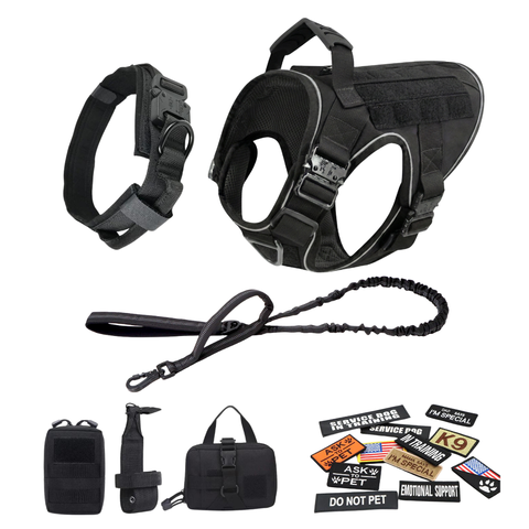 Harness + Bungee Leash + Tactical Collar + 12 Patch Bundle + MOLLE Pouches