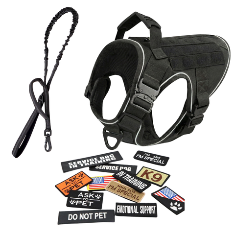 Harness + Bungee Leash + 12 Patch Bundle