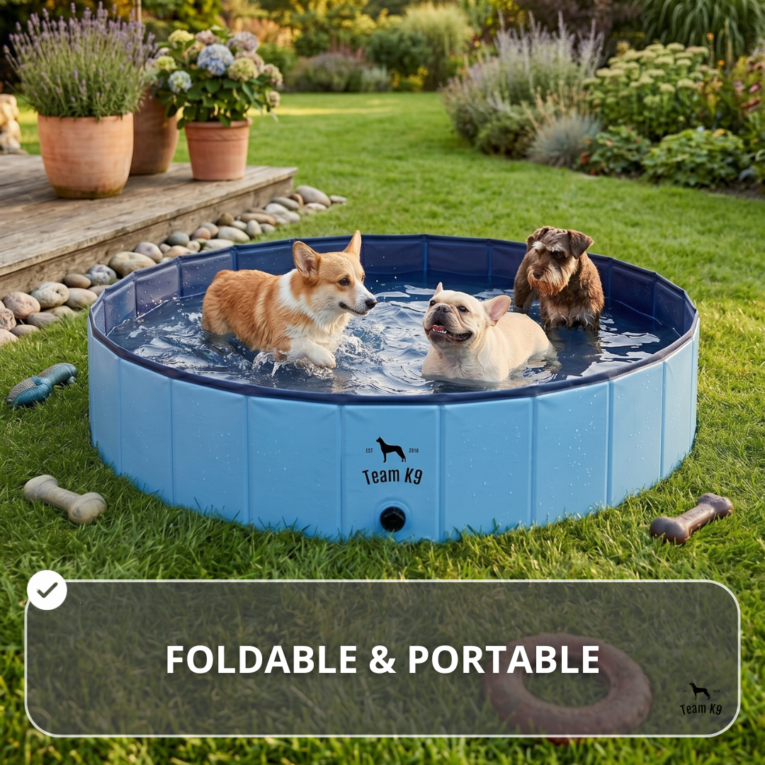 NEW Pop-Up Foldable Outdoor Dog Bath & Swimming Pool With Side Drain (Aqua Blue)