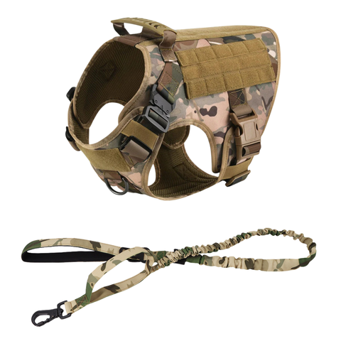 MultiCam