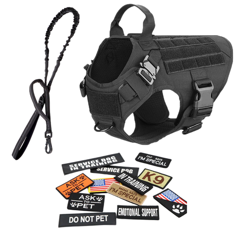 Harness + Bungee Leash + 12 Patch Bundle