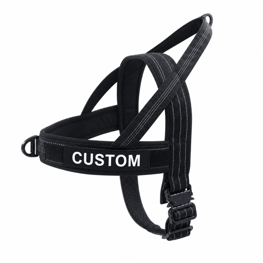 NEW Team K9® Lightweight Personalized No Pull Dog Harness with a Quick-Release Metal Buckle, Reinforced Front & Back V-Rings, Hook & Loop Panels, Padded Adjustable Straps, Top Handle, & Reflective Stitching