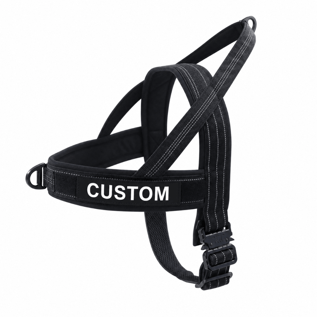 NEW Team K9® Lightweight Personalized No Pull Dog Harness with a Quick-Release Metal Buckle, Reinforced Front & Back V-Rings, Hook & Loop Panels, Padded Adjustable Straps, Top Handle, & Reflective Stitching
