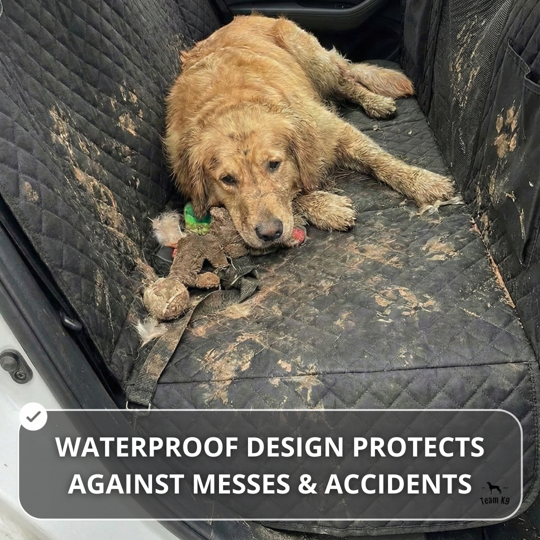 NEW Waterproof Hard Bottom Car & Truck Seat Foldable Hammock Cover With Storage Pockets, Side Flaps, Headrest Straps, Seat Anchors, & Mesh Window (+FREE SAFETY BELT!)