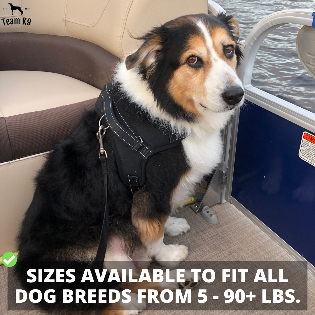 Classic Adjustable No-Choke Dog Safety Harness