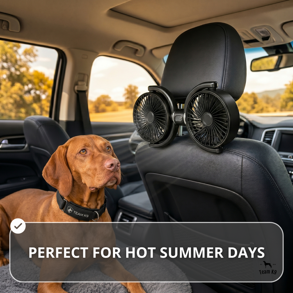 NEW Adjustable Backseat Dual Cooling Fans (Compatible with USB-A plug Only)