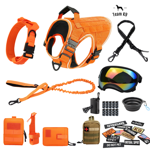Blaze Orange