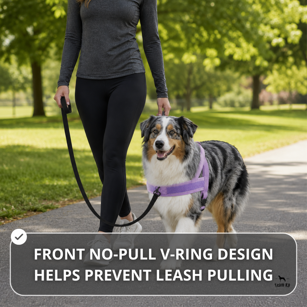 NEW Team K9® Lightweight Personalized No Pull Dog Harness