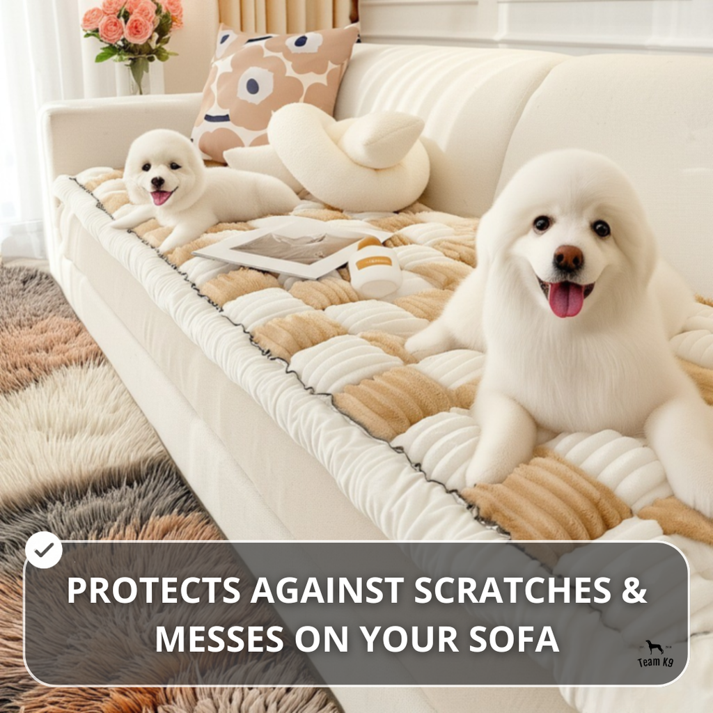 NEW 2-in-1 Furniture Protector & Dog Bed Couch Cover with Thick Orthopedic Padding, Non-Slip Grip, Scratch-Resistant Surface & Machine-Washable Fabric