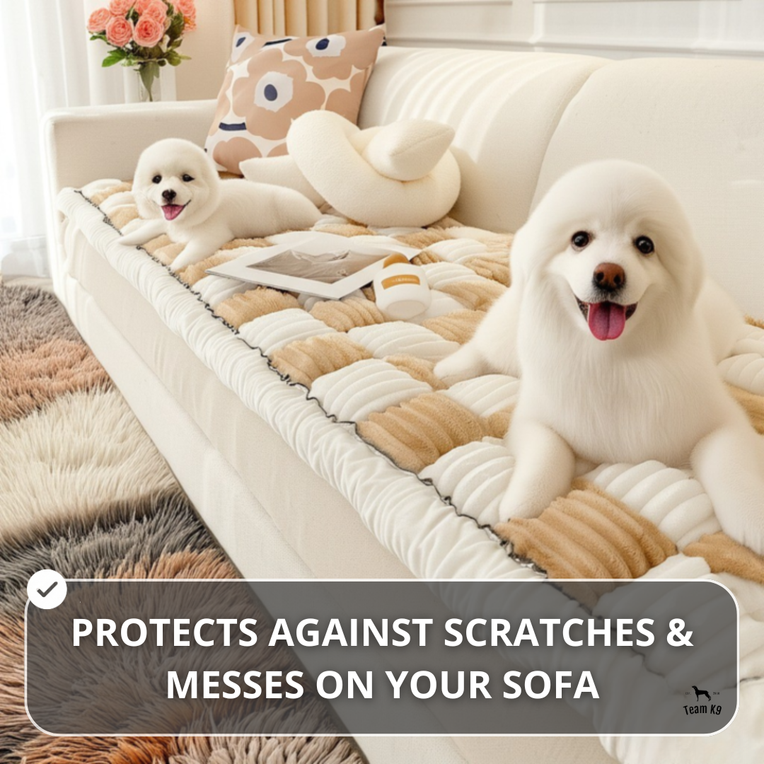 NEW 2-in-1 Furniture Protector & Dog Bed Couch Cover with Thick Orthopedic Padding, Non-Slip Grip, Scratch-Resistant Surface & Machine-Washable Fabric