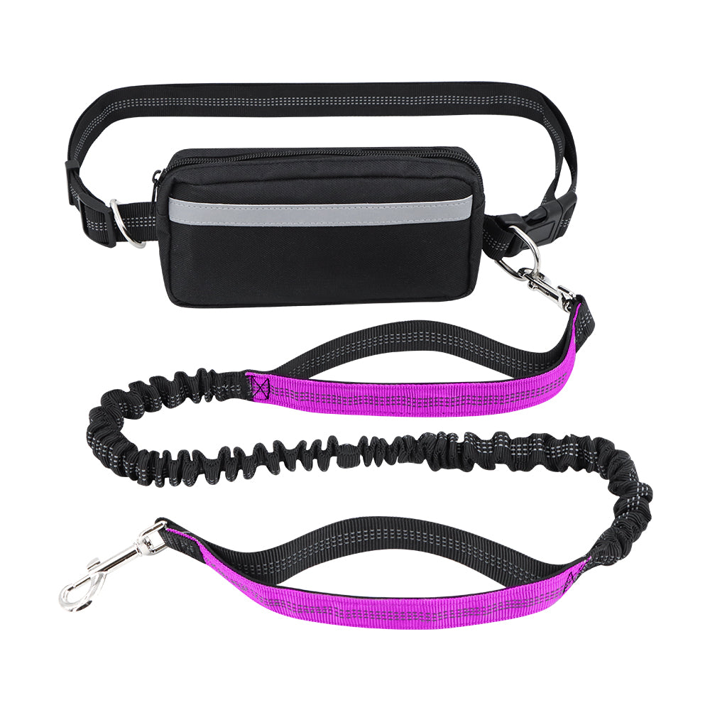 Hands-Free Double-Handle Bungee K9 Dog Leash