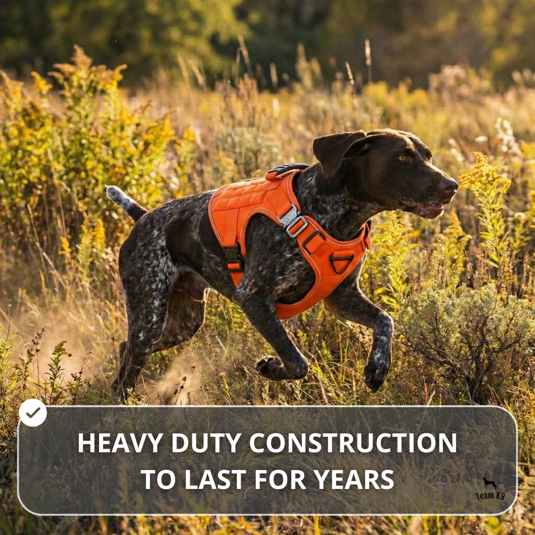 Upgraded Tactical No-Pull Team K9® Dog Harness with 4 Quick-Release Metal Buckles, Reinforced Front & Back V-Rings, Hook &