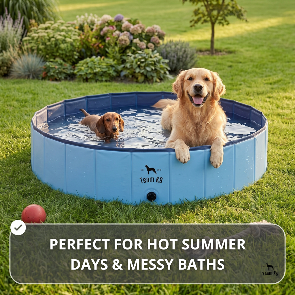 NEW Pop-Up Foldable Outdoor Dog Bath & Swimming Pool With Side Drain (Aqua Blue)