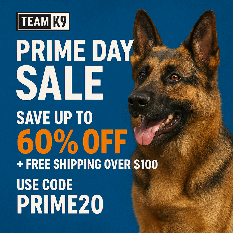 Team K9
