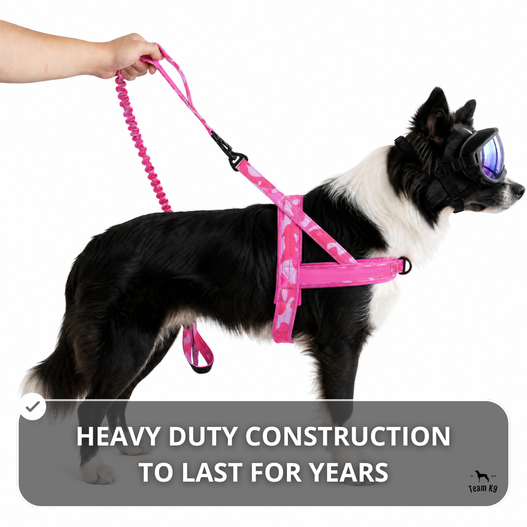 NEW Team K9® Lightweight Personalized No Pull Dog Harness