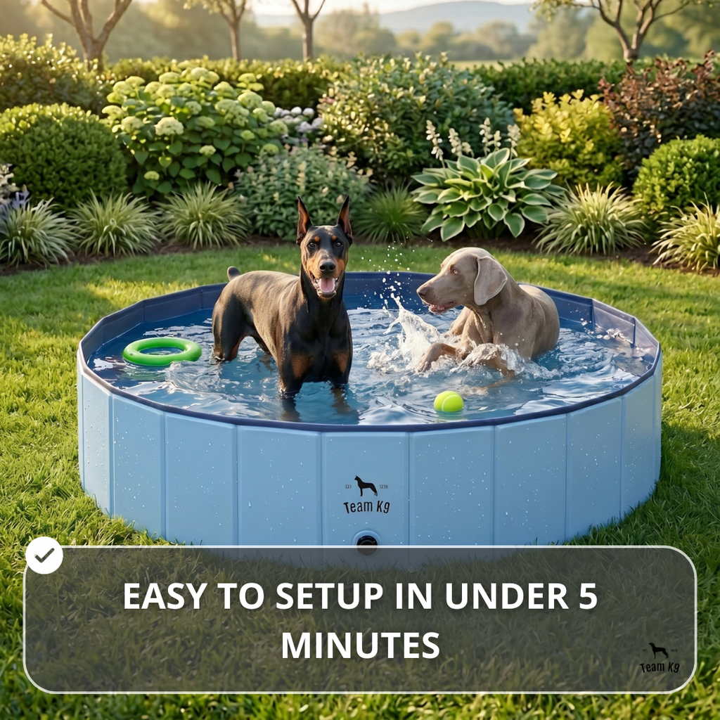 NEW Pop-Up Foldable Outdoor Dog Bath & Swimming Pool With Side Drain (Aqua Blue)
