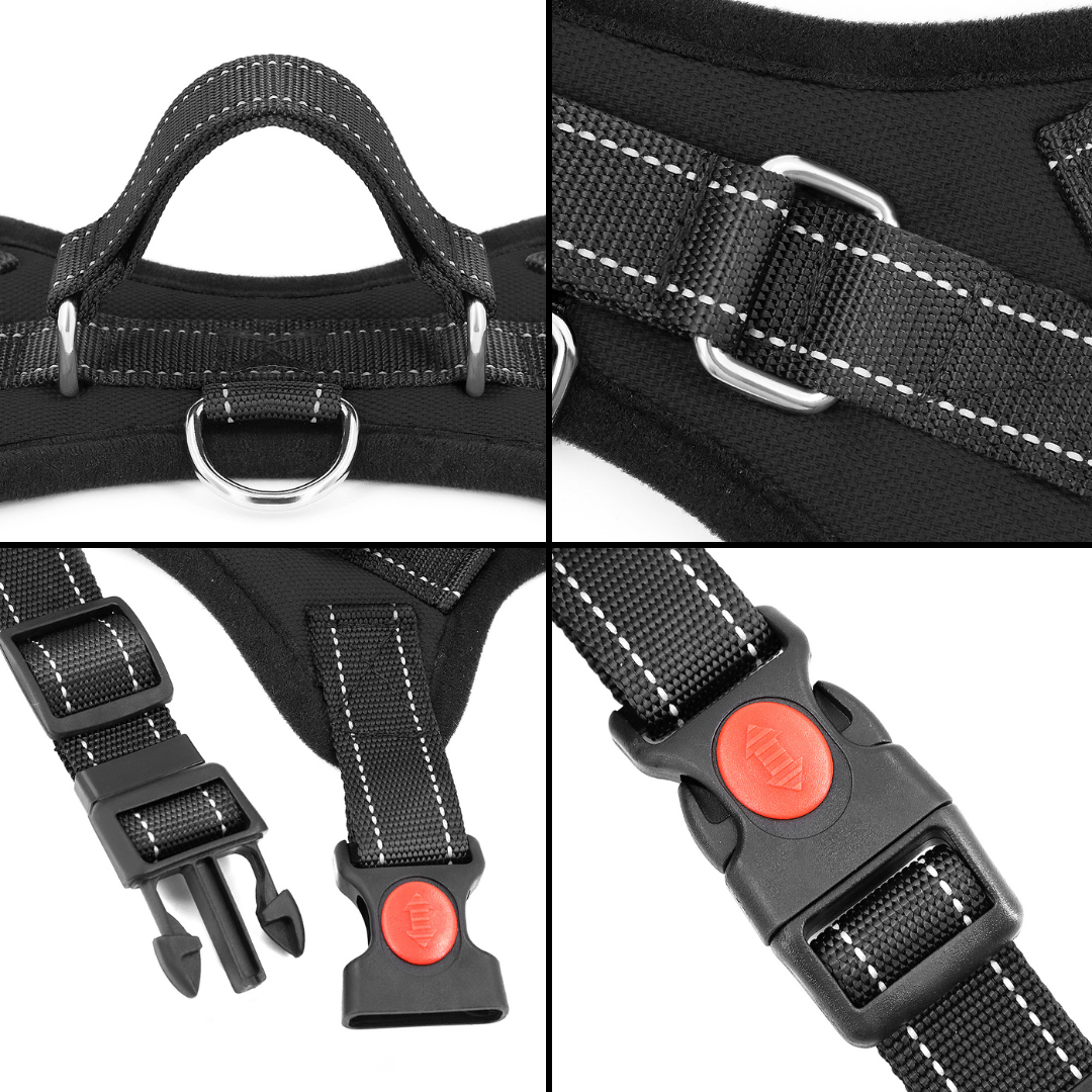 Classic Adjustable No-Choke Dog Safety Harness