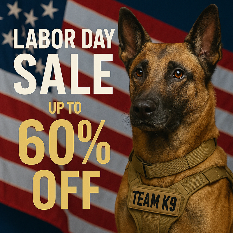 Team K9