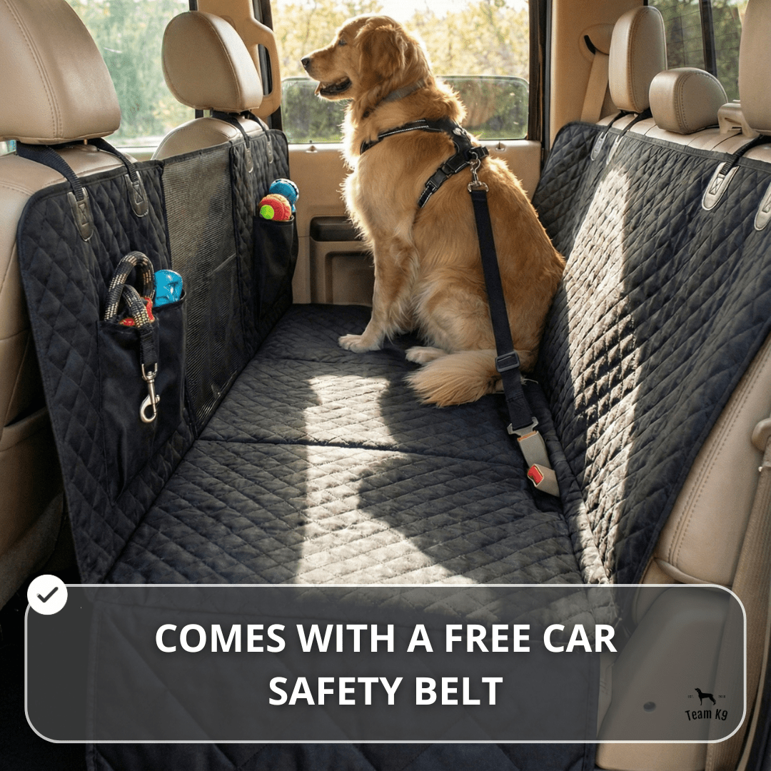 Dog in a Team K9 backseat cover setup with car safety belt access