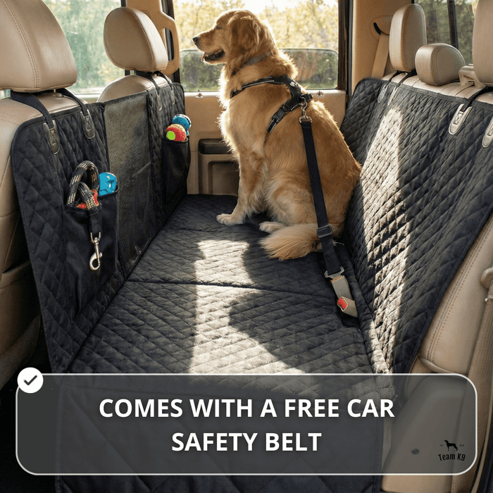 Team K9 car safety belt used with a backseat cover setup