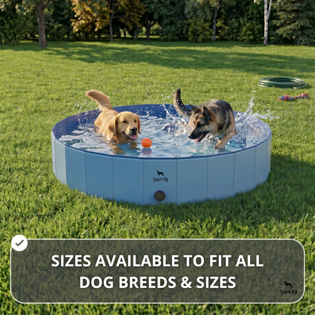 NEW Pop-Up Foldable Outdoor Dog Bath & Swimming Pool With Side Drain (Aqua Blue)