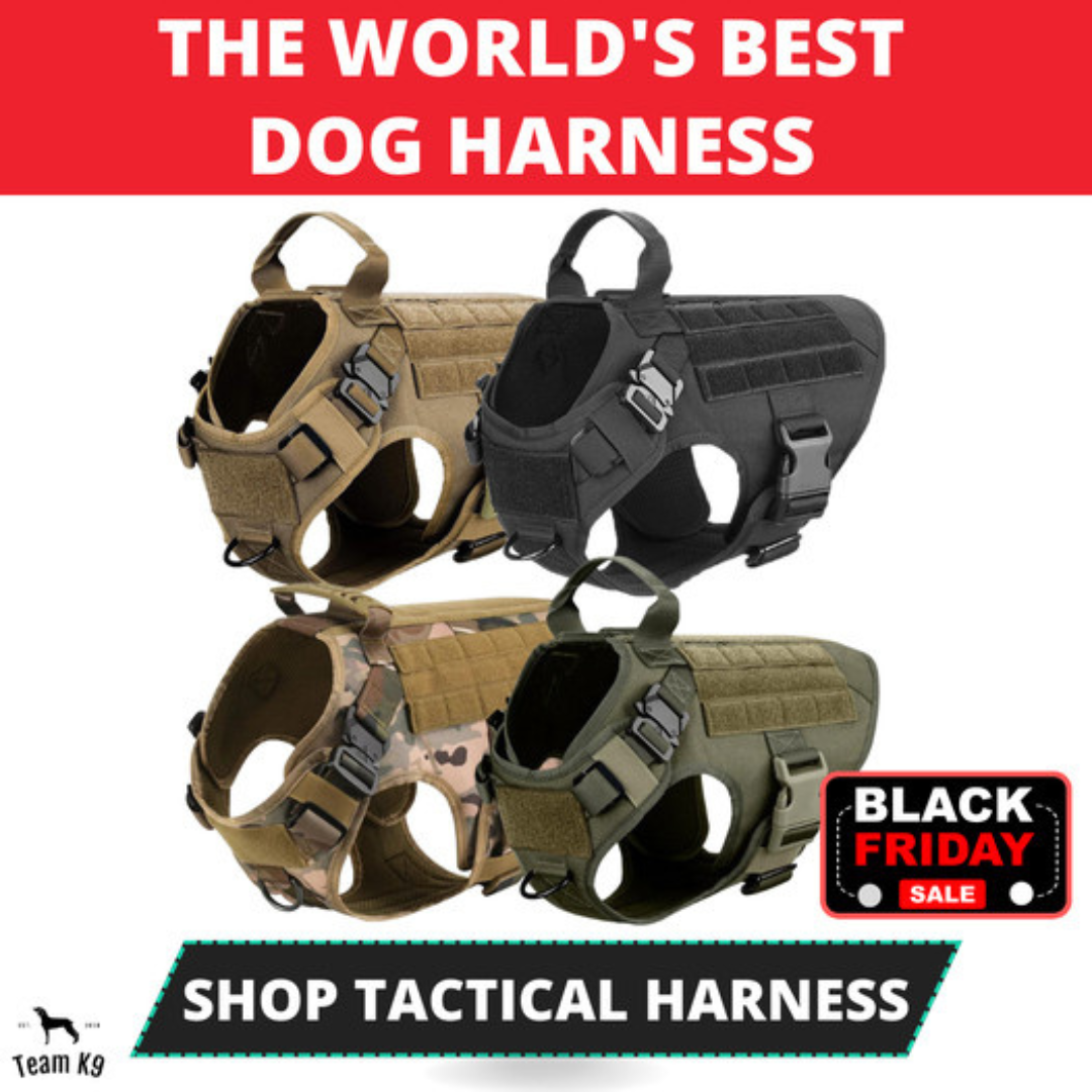 Classic Heavy-Duty Tactical No-Pull Team K9™ Dog Harness With Front & Back D-Rings, Quick-Release Metal-Buckles, Hook & Loop Panels, & Top Handle