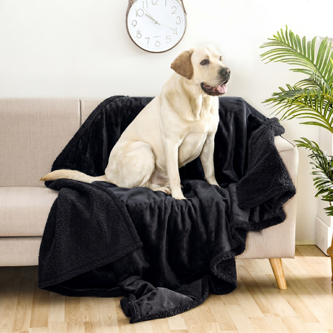 Water-Resistant Dog Throw Blanket