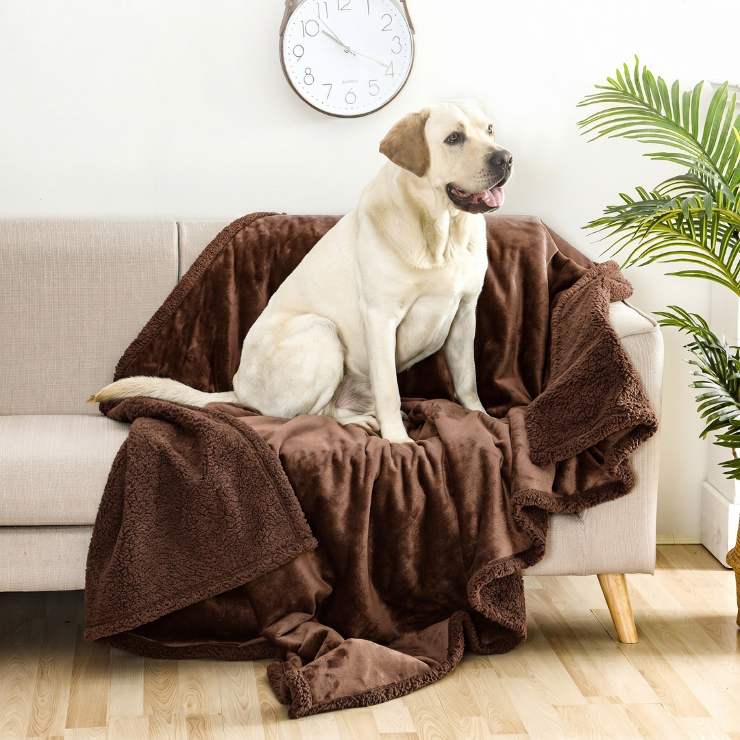Water-Resistant Dog Throw Blanket