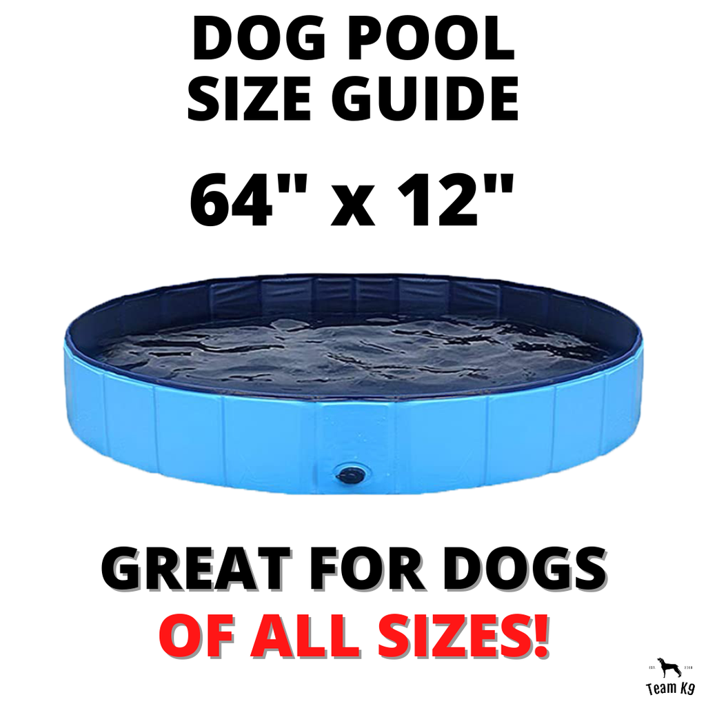 Team K9® Foldable Dog Pool