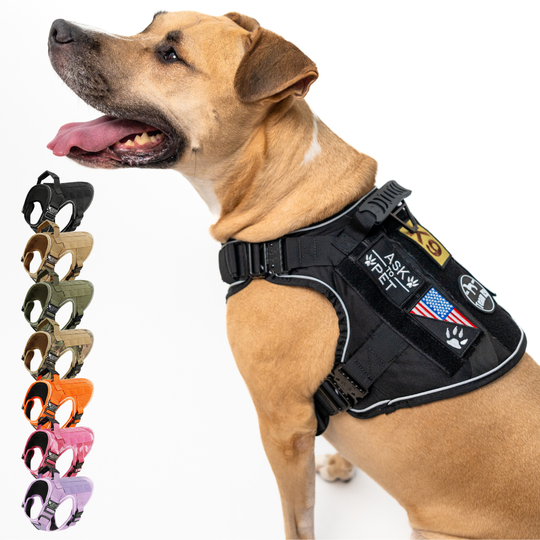 Team K9® Tactical No-Pull Dog Harness (4 Metal Buckles)